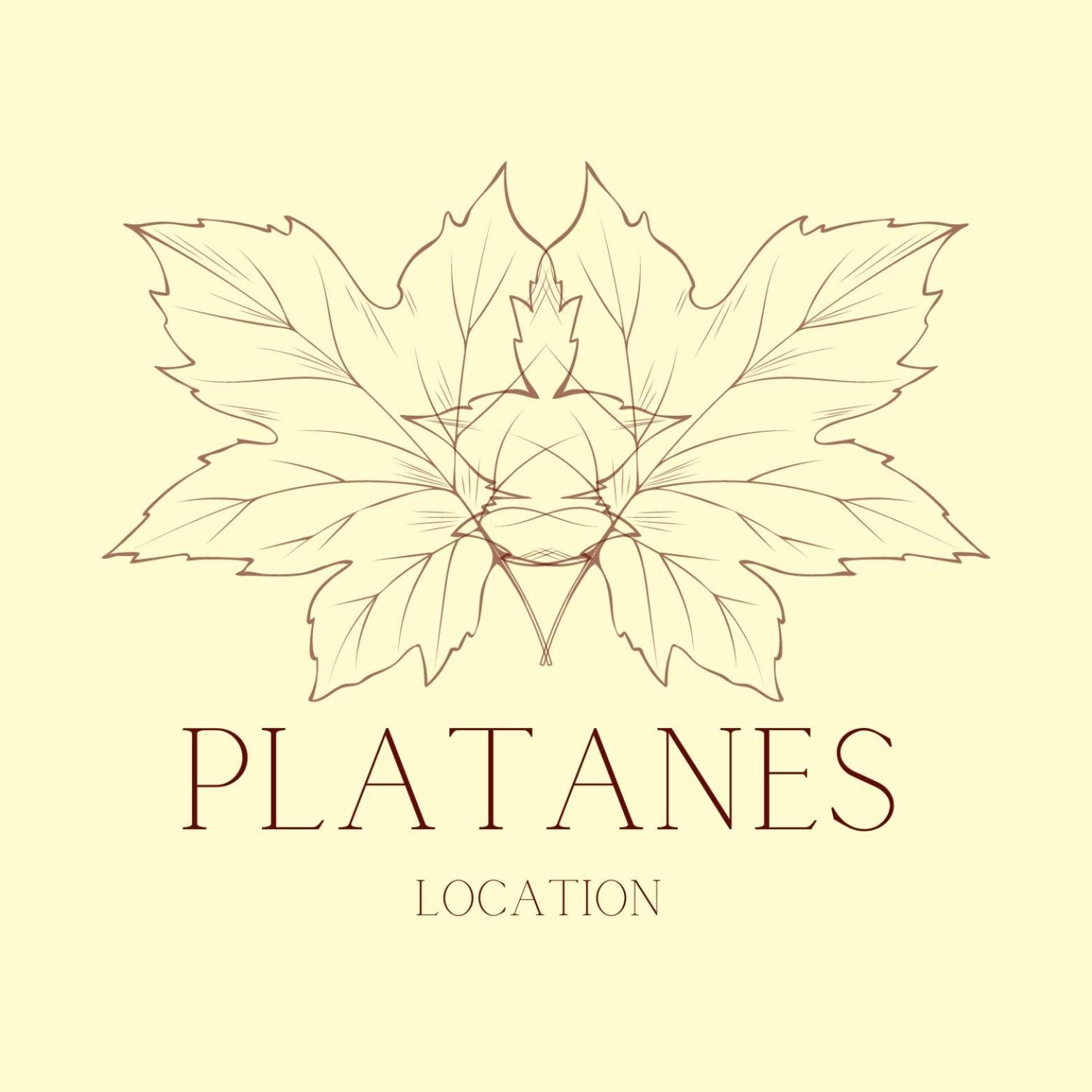 Hotel Platanes - Kb Hotel Group Etauliers Luaran gambar